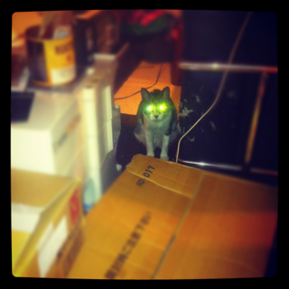 image-20120406025450.png