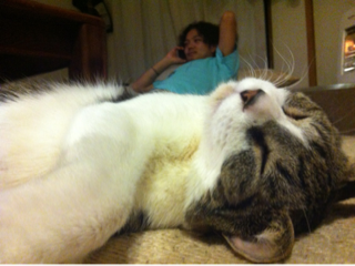 image-20120406025522.png